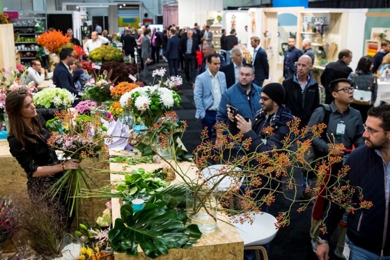 Razstava cvetja Trade Fair Aalsmeer